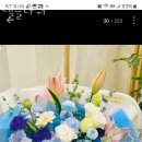 델플라워 이미지