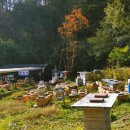 효선농장 이미지