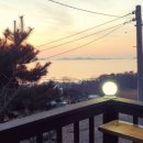 산당화가 피는집 이미지