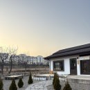 논밭커피 | 속초 카페 추천 :: 도평커피, 코타츠 자리에서 즐기는 논밭 감성 카페 후기