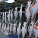 지영이네 생선가게 이미지