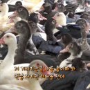 박규철농장 이미지