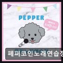 페퍼코인 노래연습장 | 페퍼코인노래연습장 깨끗한 시설과 합리적인 가격
