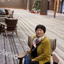 무릉도원면-13 이미지