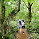 관음사가는길 | 꼬닥꼬닥 한라산 숲길 걸으멍 - 제주도 관음사 탐방로 무료 해설 힐링 프로그램 너무 좋네요!!!