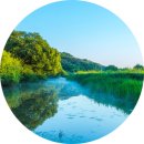 우포 따오기 구조 치료센터 | 멸종위기종 우포 따오기의 근황과 전망
