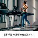 운동부족일 때 몸이 보내는 신호 5가지 이미지