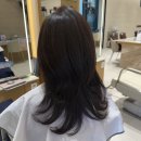 안스컨설팅 | [인천 연수구 송도] 송도 미용실 추천 : 아이디헤어 송도 센트럴파크점, 염색 추천