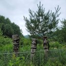 화천새싹길 이미지