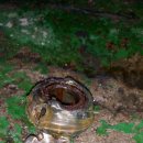 은혜카센타 이미지