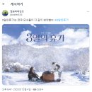 서울의 봄으로 빡치고 3일의 휴가로 힐링 이미지