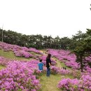 알프스 유아숲체험원 이미지