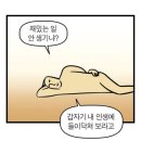 달려! 5월
