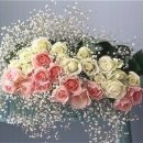 파라디아2차아파트 이미지