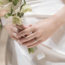 본식 스냅 포엘리제 계약 후기 | 짝꿍 구해요!