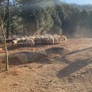 용두목장 이미지