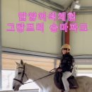 그랑프리 승마파크 이미지