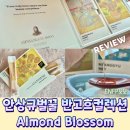 (주)레이델코리아 롯데백화점 본점 | 추석선물추천 안상규벌꿀 반고흐컬렉션 Almond Blossom 후기