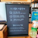 도그캠프 이미지