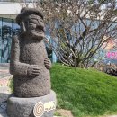 제주 트윈즈 이미지