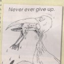 Never Ever Give Up 이미지