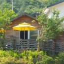 엄둔계곡 가자화이트 이미지