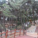 달서별빛캠프 캠핑장(관리사무소) 이미지