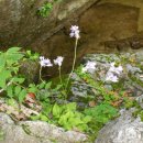 덕풍산장 이미지