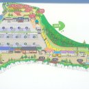 팜스퀘어 하늘타리 이미지