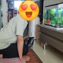 꿈나무 열대어 이미지