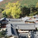 옥산1리 이미지