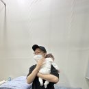 송도맘편한소아청소년과의원 이미지