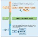 카라트