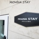 모아나스테이