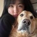 플레이스엉물 이미지