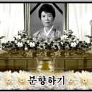 8.15전국정모에 중부지부 회원님들의 동참바랍니다. 이미지