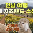 복호횟집