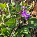 용담농장 이미지