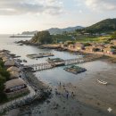 흘곶마을 | 흘곶어촌체험마을에서 바지락 캐기 제대로 즐기는 법