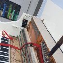 화신아파트 이미지