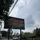 사리농장 | 발리 루왁커피 농장 후기｜테갈사리 루왁 커피 농장 솔직 리뷰 (+가격, 시음 후기)