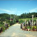 쌍둥이네흙집 이미지