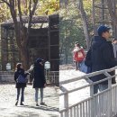 SC펜션 스포츠조선