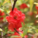 참어울림 이미지