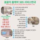 북면365 | 창원 북면 감계 데시앙 이사청소 후기