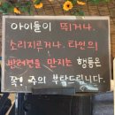 주원농장 | 경기 시흥 애견운동장 호두네 놀이터 강아지랑 아기랑 후기