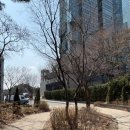 트리마제주변공원 | [서울숲] 서울숲 사슴방사장 데이트 아이와 함께 주말 놀거리 서울숲꽃사슴방사장