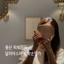 약손피부세상