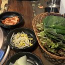 5709 | [광화문] 가성비 돼지갈비에 소주 맥주 4000원까지 좋은 서촌 백년화로 내돈내산 후기