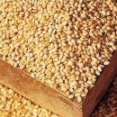 삼정농산 이미지